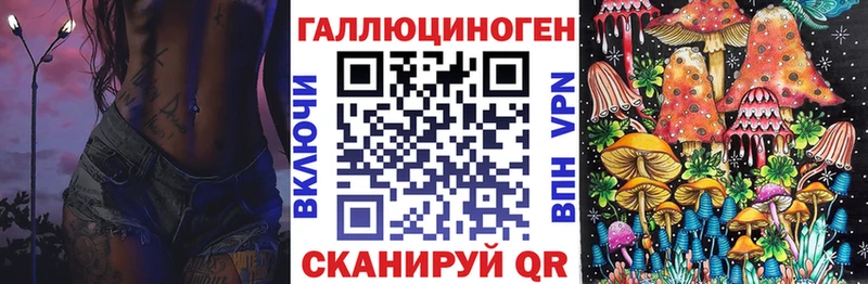 купить закладку  Торопец  Галлюциногенные грибы прущие грибы 